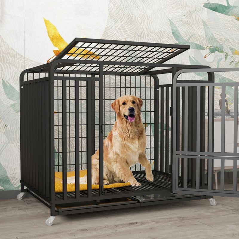 狗籠子中型大型犬室內寵物狗狗邊牧廁所柯基拉布拉多金毛狗籠