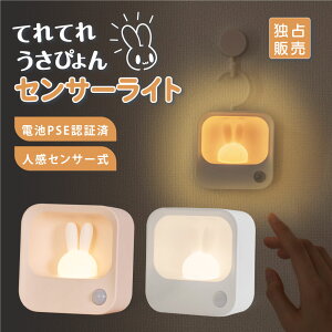 新款 日本公司貨 HITEMASA 兔子 感應 夜燈 HSD-N79 檯燈 LED燈 自動照明 護理燈 USB充電 臥室 樓梯