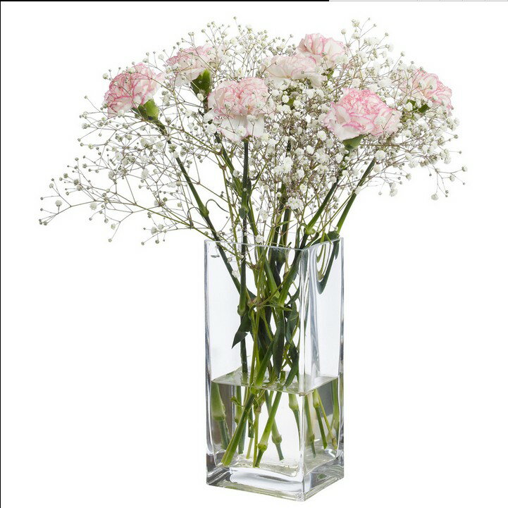 花瓶玻璃透明方缸 30cm高方形花瓶 歐式經典桌面擺放高品質花插