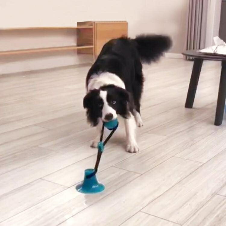 狗狗吸盤玩具金毛大狗磨牙耐咬球型幼犬拉力互動玩具發泄寵物用品