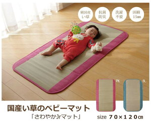 日本製 2色 IKEHIKO 夏日涼感墊 15mm厚墊款 70×120cm 九州藺草涼蓆