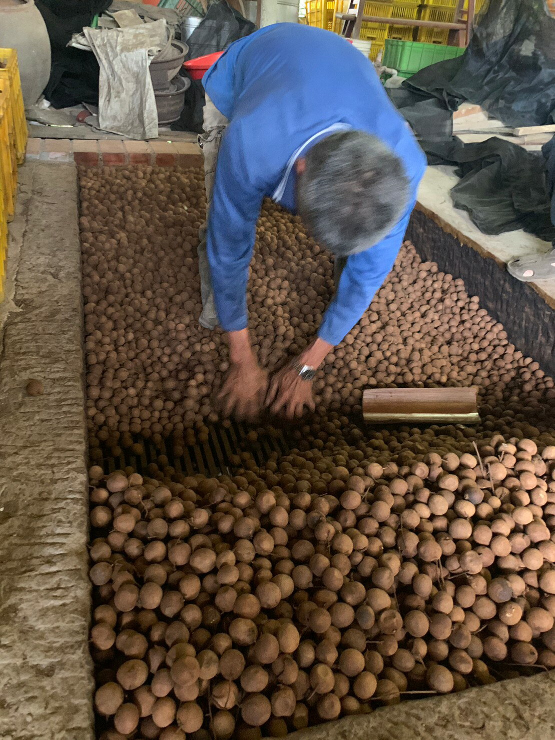 台南東山「賢爸與阿霖」土窯柴燒龍眼乾vs.龍眼肉 6