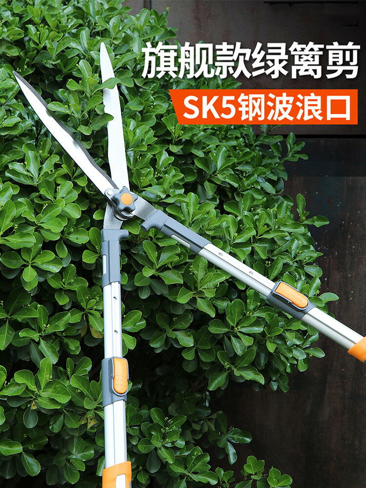 修枝剪進口園藝修樹枝花卉大剪刀果樹採摘專用剪枝鉗神器sk5