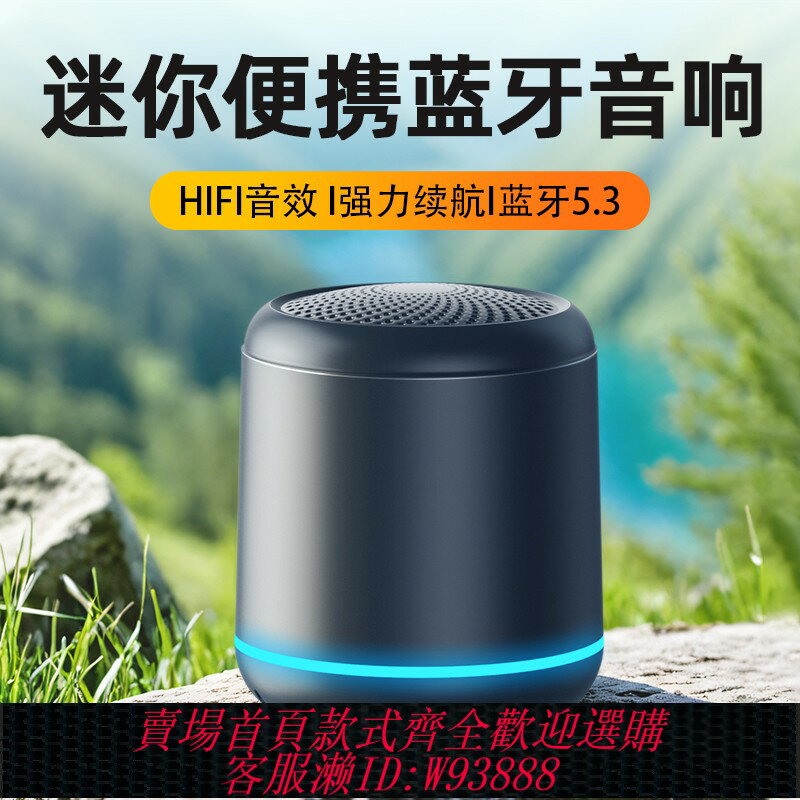 {臺灣公司貨 可打統編}賽達藍芽音箱無線手機插卡音響小型高音質戶外便攜式超重低音炮
