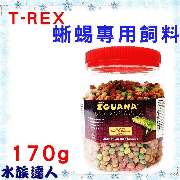 【水族達人】美國T-REX《蜥蜴專用飼料 170g》預購商品！ 蜥蜴 綠鬣蜥 鬣蜥 其他草食性蜥蜴 花果 蔬菜 口味