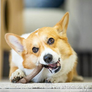 狗狗磨牙玩具幼犬中大型犬用品木塑耐咬自己玩寵物玩具 全館免運