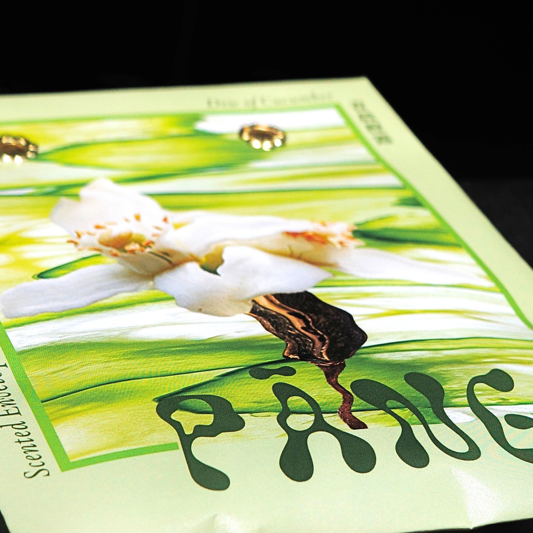 【雱 PĀNG】信封香氛袋 單入 | 青晨橙露 Dew of Cucumber | 環境友善 質感設計 空間香氛 環保生物炭 法國設計獎銀獎
