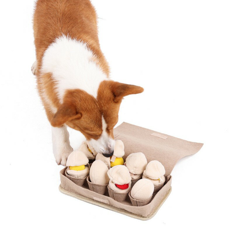 DogLemi多樂米 雞蛋盒嗅聞玩具 漏食玩具 狗狗玩具 狗玩具 寵物玩具 益智玩具 嗅聞玩具 藏食玩具 2