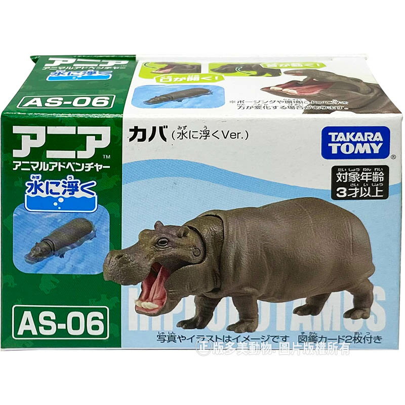【Fun心玩】AN18081 正版 日本 多美 AS-06 河馬 可漂浮 探索動物 多美動物 動物模型 可動 禮物