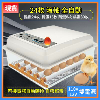 孵蛋器孵化器小雞孵化機全自動小型家用型孵小雞機器智能孵化器小型雞蛋孵蛋器卵化器孵化箱 現貨 好運器