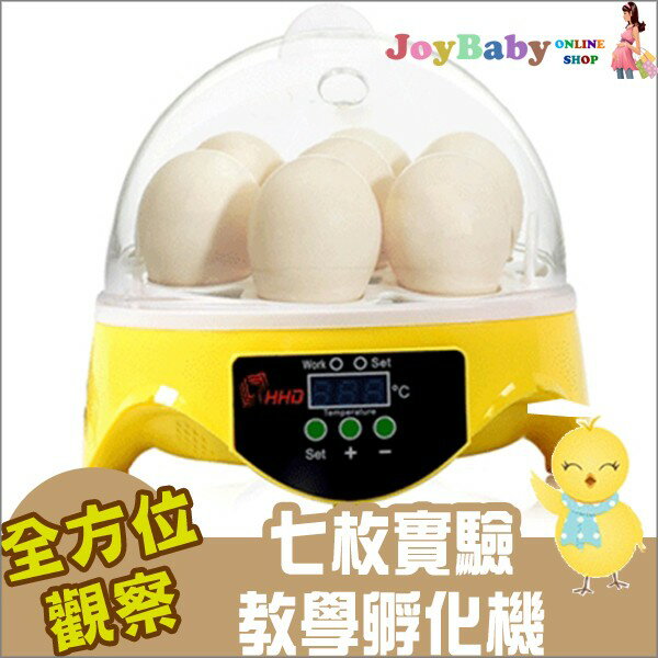 孵蛋機 孵化機 7枚自動控溫孵化器 鳥蛋 雞蛋 鴨蛋 110V-JoyBaby