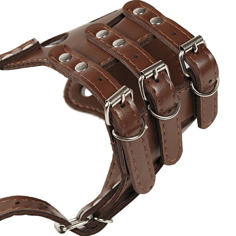 狗狗嘴套 狗狗嘴套防叫防咬防亂吃小狗中大型犬小型犬狗口罩泰迪金毛止吠器【MJ192502】 1