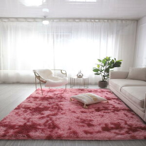 地毯 毛絨地毯定制家用臥室客廳沙發茶幾可愛少女公主房間飄窗床邊地墊--極有家創意生活館