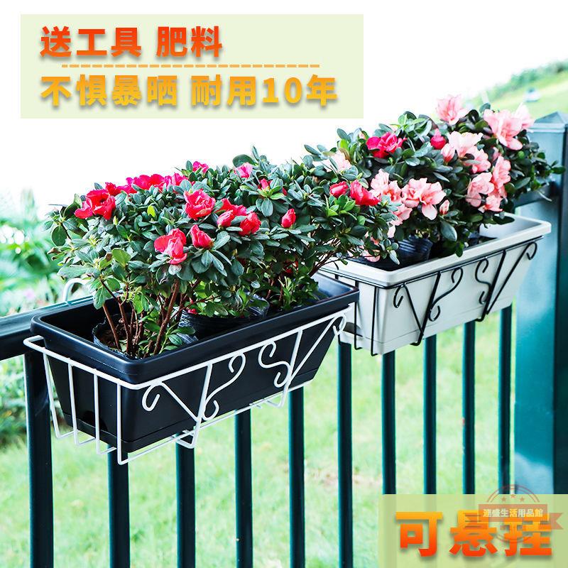 蔬菜盆陽臺種菜種菜家庭陽臺長方形塑膠長條花盆2021新款家用批發