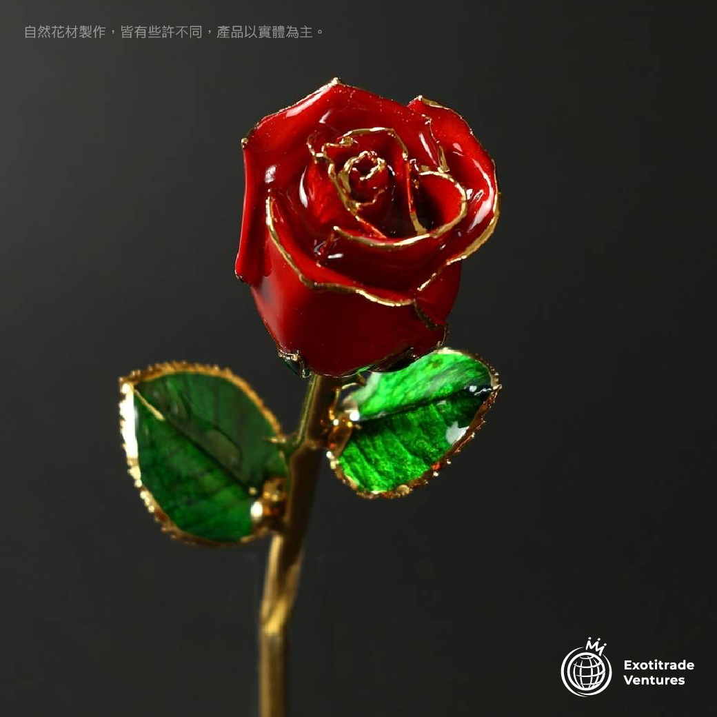 24K金 永恆鍍金珍藏玫瑰_紅色 2