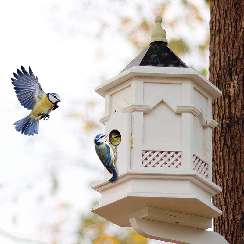 鳥類之家英式古典哥特式防雨鳥屋庭院景觀園藝造景高端別墅裝飾