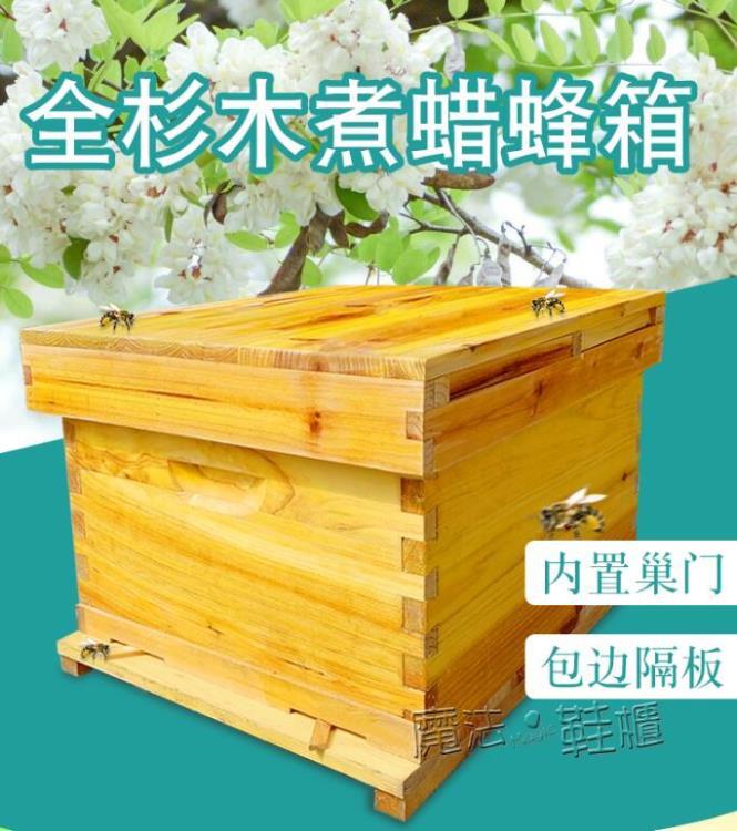 【樂天精選】烘干杉木標準十框中蜂箱蜜蜂養蜂工具10框養蜂煮蠟全套中平峰箱 ATF