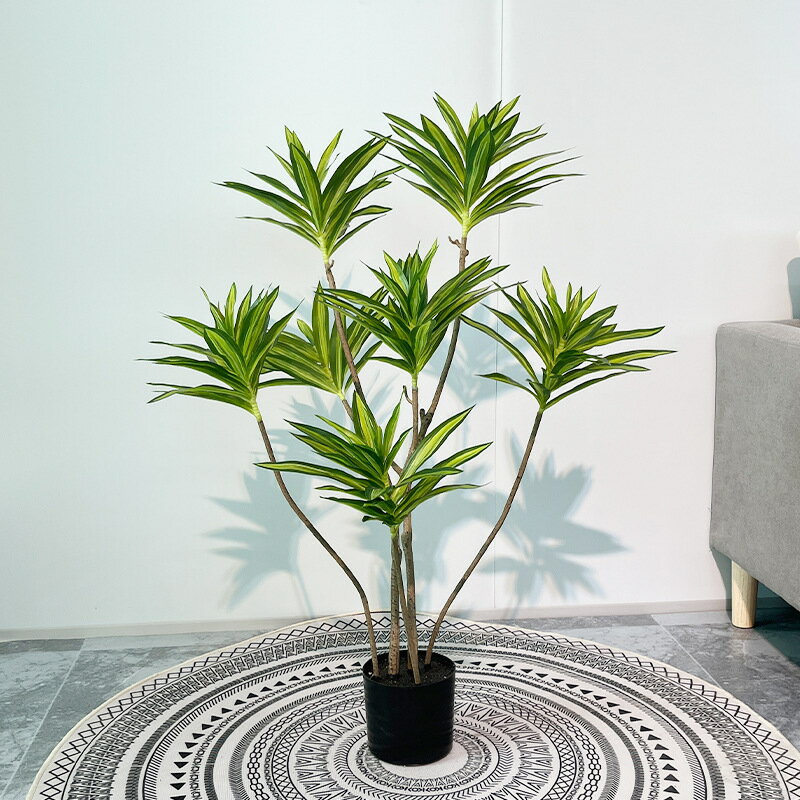 北歐假植物家居裝飾百合竹大型盆栽櫥窗辦公室仿真百合竹造景擺件