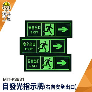 頭手工具 疏散通道 緊急出口 疏散標誌 自發光指示牌 MIT-PSE31 自動發光 免接電 逃生通道指示