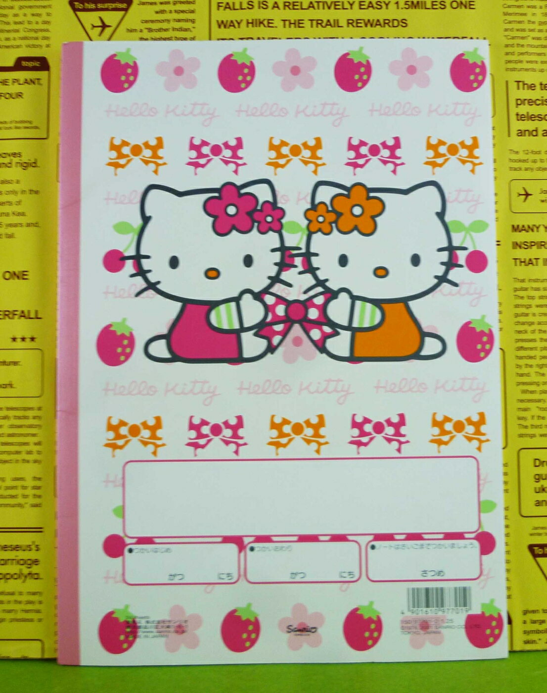 【震撼精品百貨】Hello Kitty 凱蒂貓 空白圖畫本 草莓【共1款】 震撼日式精品百貨