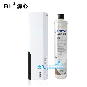 愛惠浦公司貨家用BH2濾心(抑垢+銀離子抗菌型)0.5微米3000加侖/11356L