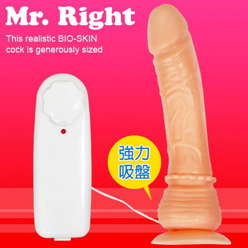 Sex Toys 尋蜜者Mr.Right逼真按摩棒【情趣職人】