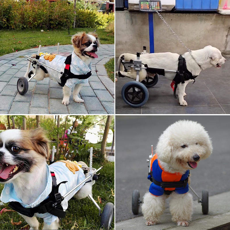 狗輪椅后肢大小型犬泰迪癱瘓老年貓殘疾狗代步車寵物后腿輔助支架