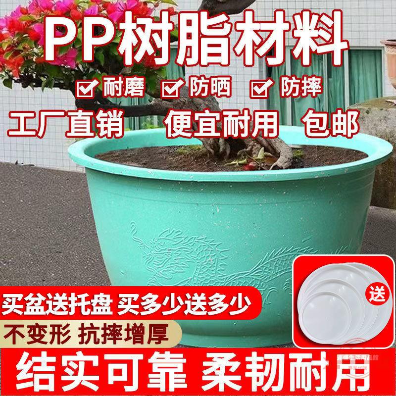 花盆塑料批發大花盆種樹盆庭院家用大口徑圓形不爛硬盆地面種植盆