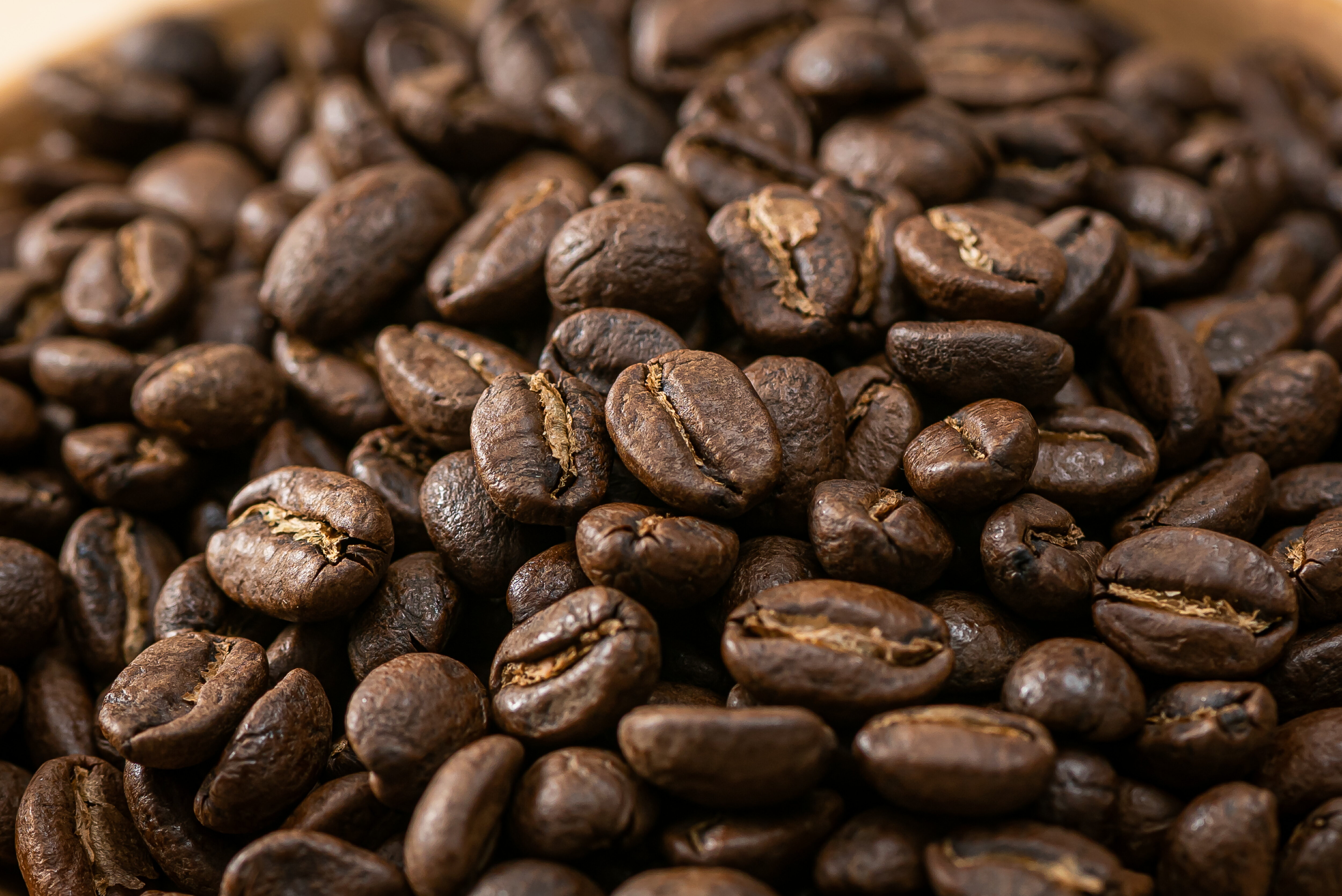 [曦品] 瓜地馬拉 薇薇特南果 咖啡豆 5