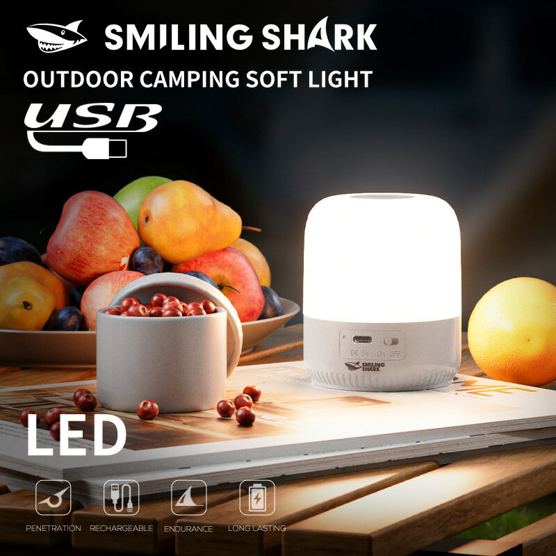 Outdoor portable two-color soft light atmosphere night light
