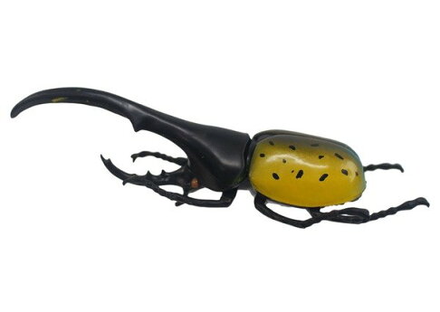 獨角仙日版甲蟲模型t427 全套7個入 一套入 促180 牛角蟲仿真昆蟲雙叉犀金龜鍬形蟲st安全玩具東匯 首 旻泉精品批發網直營店 獨角仙日版甲蟲模型t427 全套7個入 一套入 促180 牛角蟲仿真昆蟲雙叉犀金龜鍬形蟲st安全玩具東匯 首 旻泉精品批發網直營店