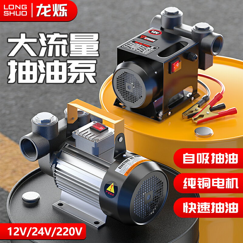 【臺灣公司 可開發票】電動抽油泵柴油加油泵12v24v220v通用抽油神