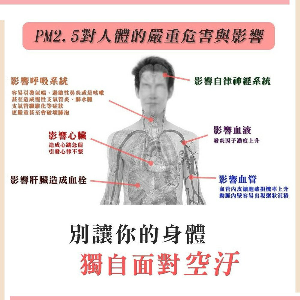 HEPA濾心 濾網 適用三洋ABC-M5/CAFT-M5國際F-P02UT9/F-P15BH/F-P02US 清淨機【全店8折 現貨 免運】 9