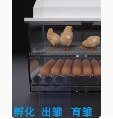 110v小雞孵化器小型家用智能孵化機跨境迷妳雞蛋孵蛋器孵蛋機
