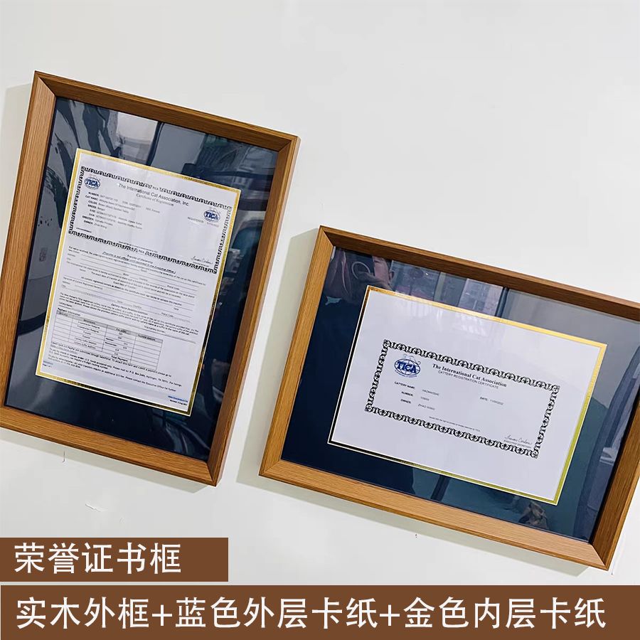 榮譽證書框A4A5實木營業執照畢業證書框擺臺定製證書展示相框掛墻 -貼心優衣家居