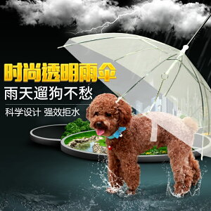 狗狗雨傘寵物雨傘 泰迪比熊小型犬小狗寵物雨衣雨披用品遛狗雨傘