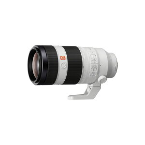 【新博】Sony FE 100-400mm F4.5-5.6 GM OSS望遠變焦鏡頭 (台灣索尼公司貨)SEL100400GM