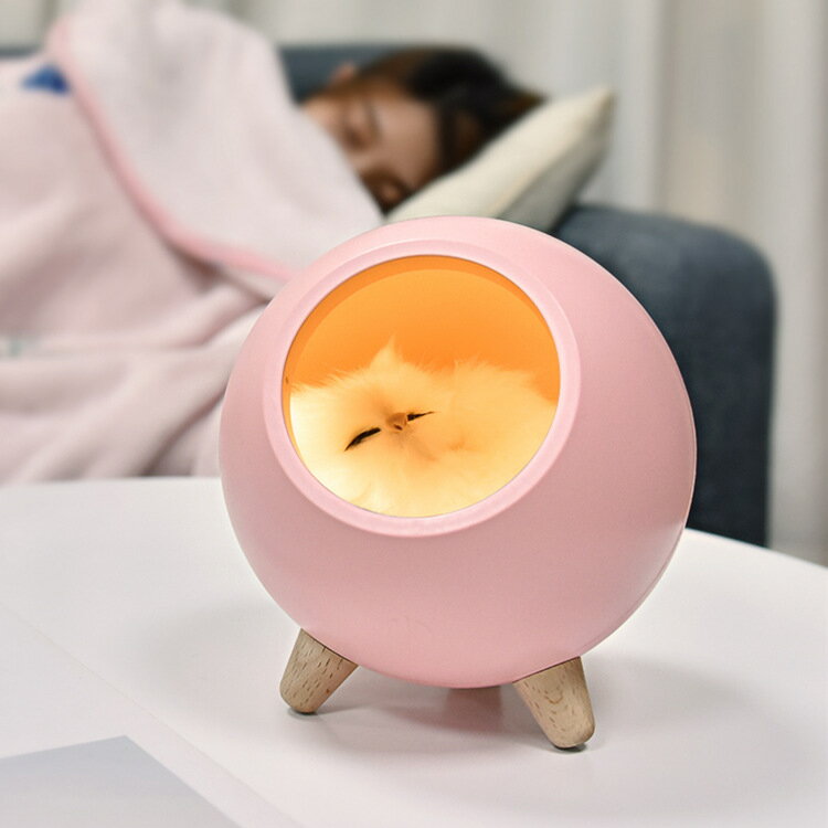 創意可愛小萌貓屋子小夜燈可愛小貓床頭伴睡燈USB充電觸摸氛圍燈