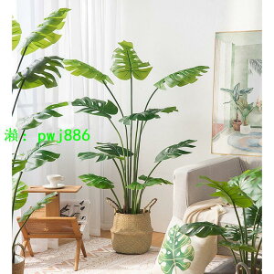 北歐ins風仿真植物仿生綠植裝飾擺件假龜背竹客廳室內落地盆栽樹