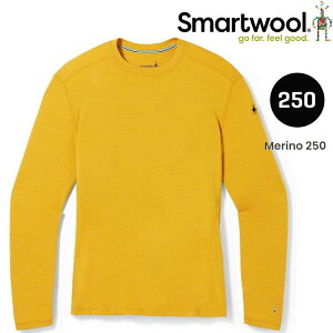 Smartwool Thermal 男款 美麗諾羊毛圓領長袖排汗衣 SW016350 K11 蜂蜜黃