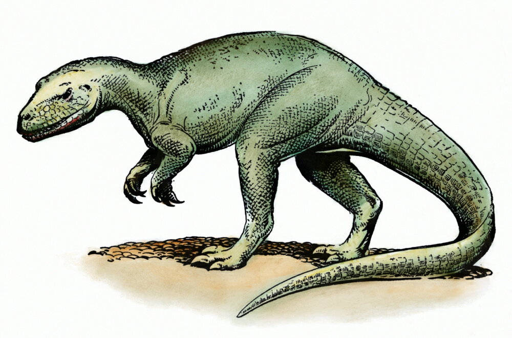 allosaurus period