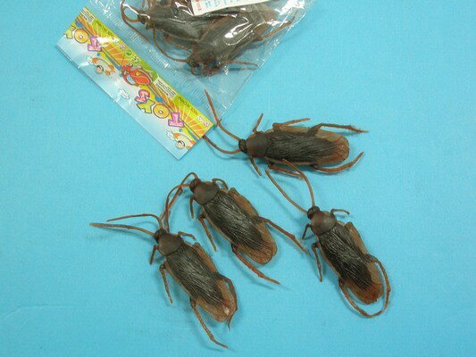 假蟑螂 假小強 仿真蟑螂 整人蟑螂玩具/一袋12包入(一包4隻)共48隻入(促10)CF108082【領券滿額再折千12/31止】 4