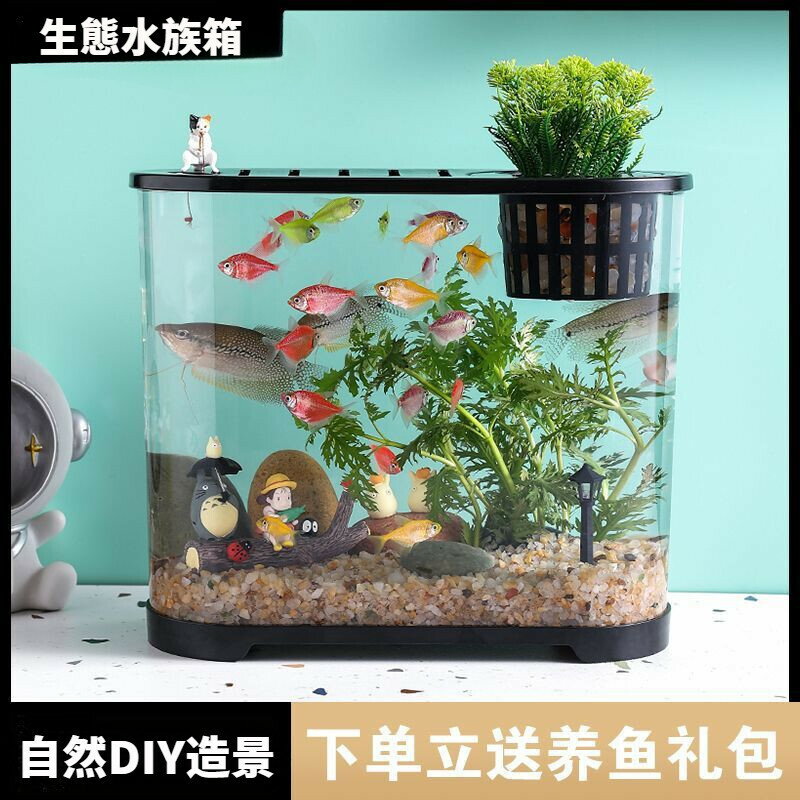 【高畫質透】桌上型水族箱 魚植共生 生態缸 鬥魚缸 魚缸 水族箱 小魚缸 透明魚缸 迷你水族箱 微型生態觀賞魚缸 懶人魚缸