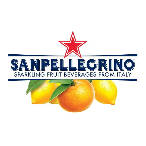 隔日出貨 S.Pellegrino義大利聖沛黎洛氣泡礦泉水(寶特瓶) 1000 ml x 12瓶 HS嚴選 2