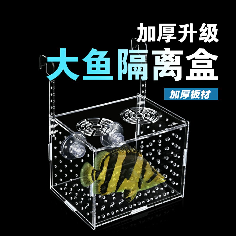 魚缸隔離盒 多功能繁殖箱 壓克力加厚透明隔離盒水族小魚苗孵化器幼魚繁殖盒烏龜苗魚缸『cyd8451』