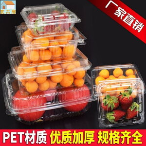 果蔬盒一次性果盒透明塑膠長方形保鮮盒帶蓋藍草莓盒包裝盒拼盤