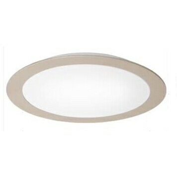 PHILIPS 飛利浦 HUE 睿晨 智慧吸頂燈 45036 LED 68W 客廳簡約 智能家居照明燈 110-220V