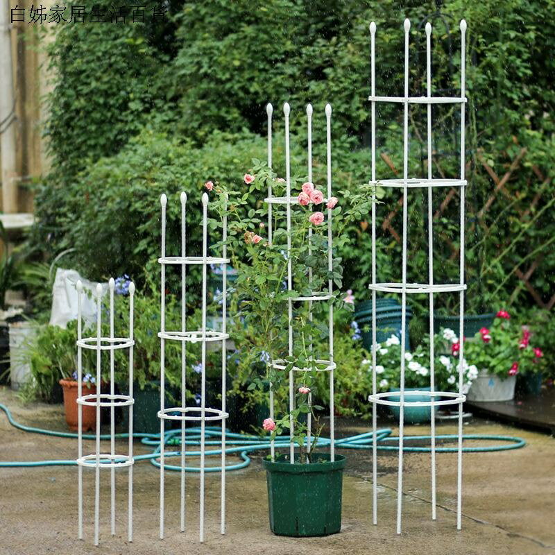 月季藤架 花架 戶外花架 花架爬藤架 鐵線蓮藤本月季風車茉莉植物攀爬架 花柱架子 園藝花支架