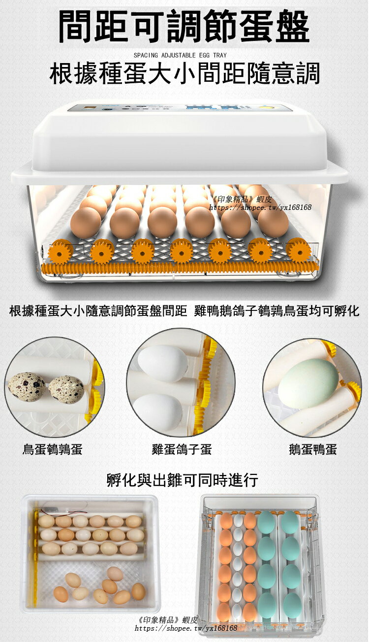 免運110V孵化機大容量家用全自動孵蛋器（帶溫度控制）全自動小雞雞蛋 