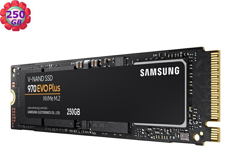 【折100+10%回饋】SAMSUNG 250GB 250G PCIe SSD 三星【970